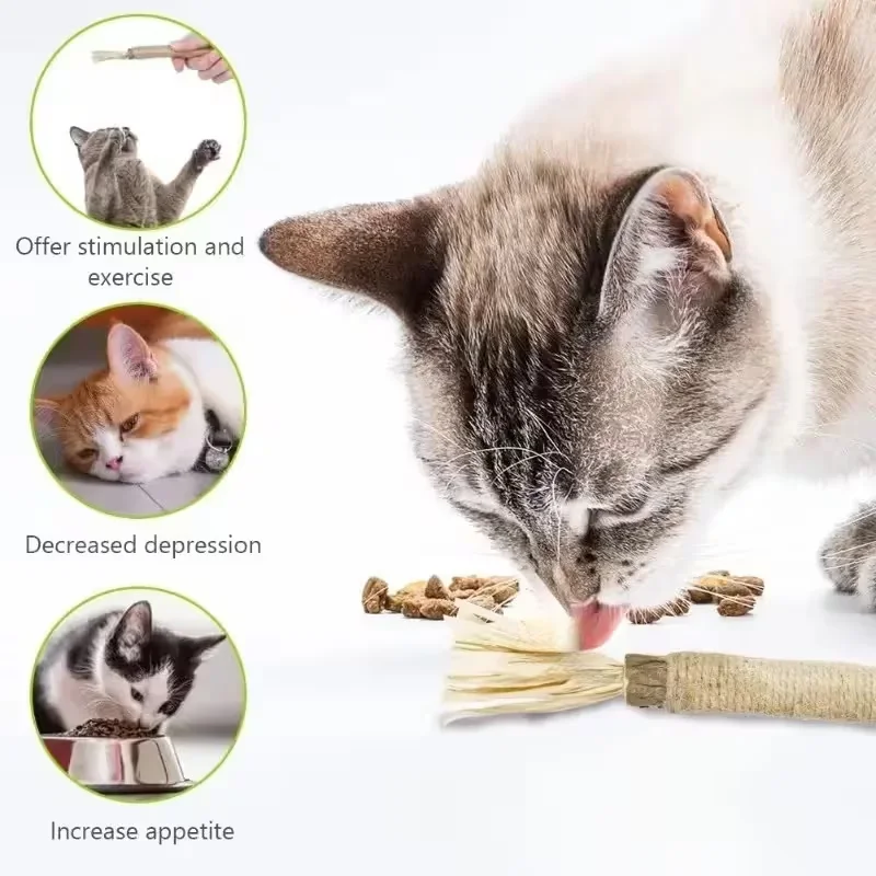 3-Piece Cat Play Set, Durable Cat Mint Bamboo Cat Scratching Post, Indoor Cat Toothbrushing and Chewing Stick