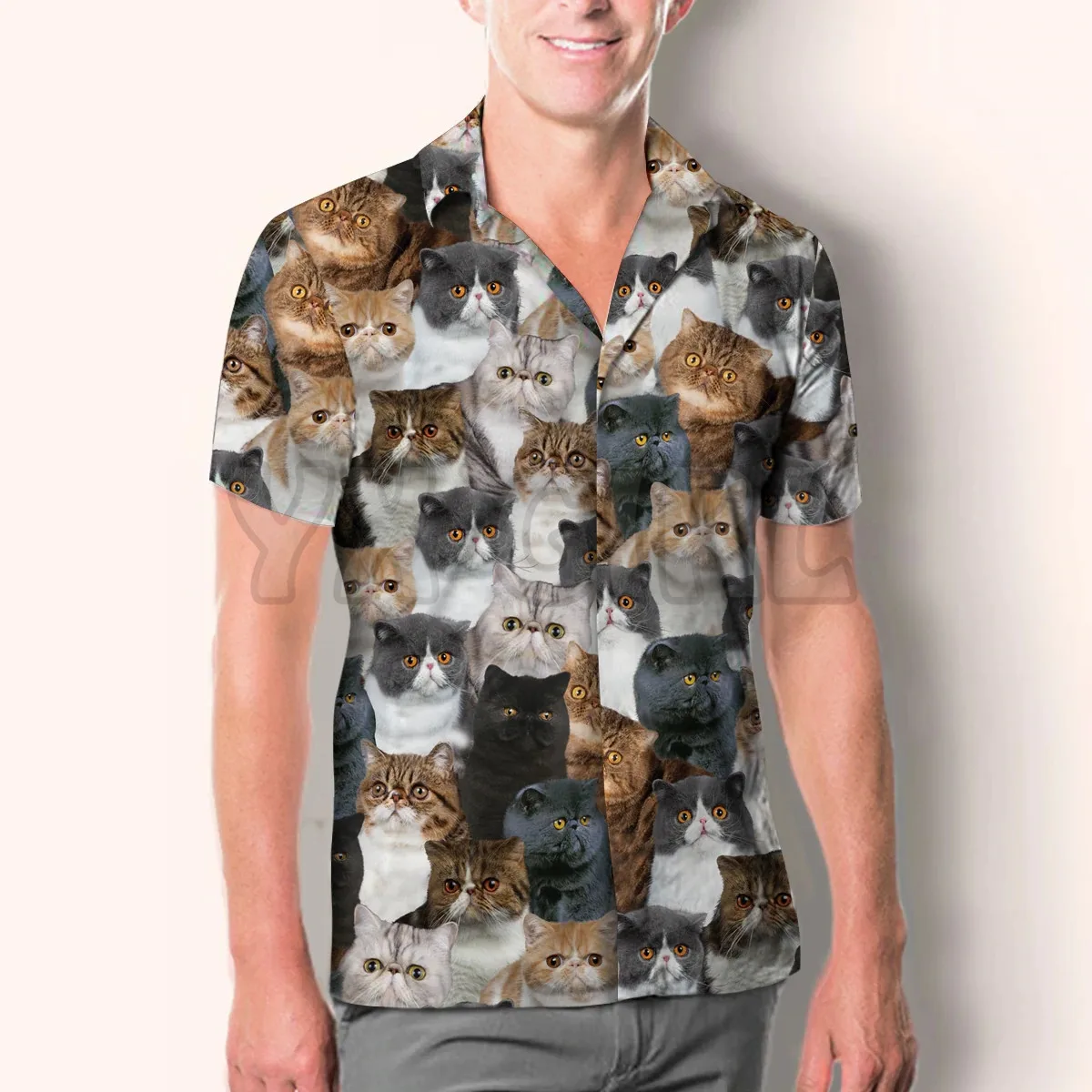 

You Will Have A Bunch Of Exotic Cats Hawaiian 3D All Over Printed Hawaiian Shirt Men's For Women's Harajuku Casual Shirt Unisex