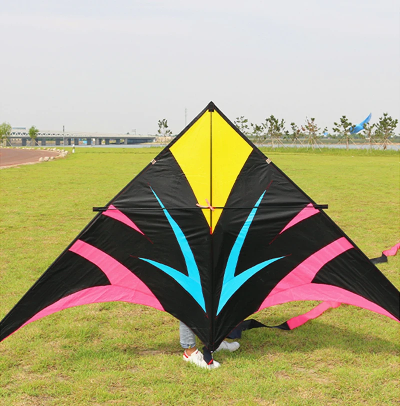 Durable large kite for beach and park flying