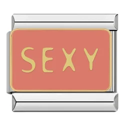 2024 Trendy Charm Collection for DIY Jewelry Bracelet Making (DJ042 S)