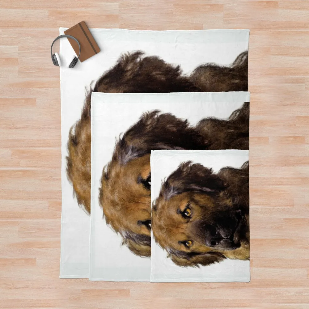 �� ǰ�� ��������, �׸� üũ ���� �ö��� ��ȭ �ö��� ������ ���