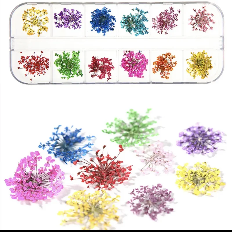 (12Grid)3D Dried Flower For Nail Charms Natural Floral Sticker Mix Dry Flower Colorful Decal DIY UV Gel Polish Nail Art Manicure