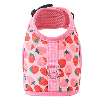 Fruit Print Cat Harness & Leash Set
