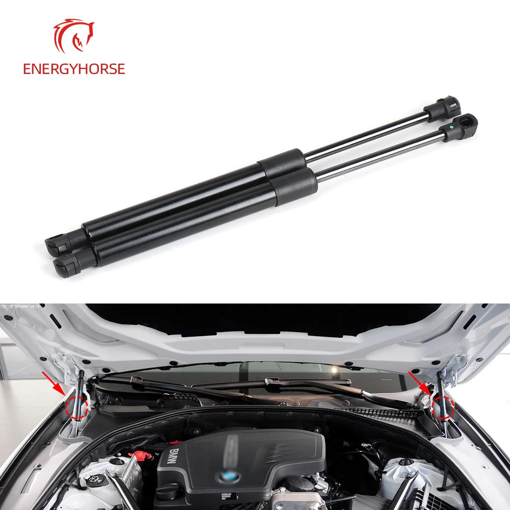 

Car Hood Lift Support Struts Gas Spring Dampers Replacement For BMW F10 F11 5 Series 520 523 525 530 535i 2010-2017 51237309119