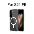 For S21 Fe