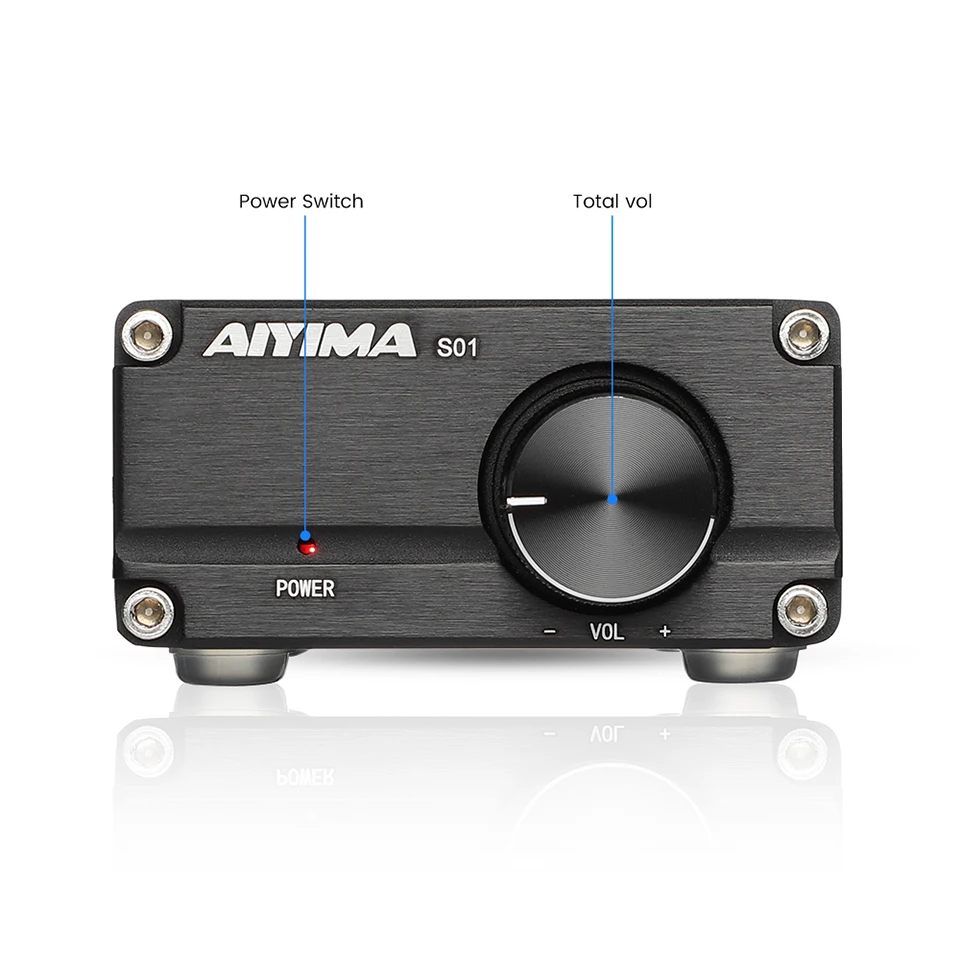 AIYIMA TPA3116 100W Subwoofer Audio Amplifier TPA3116D2 Mono Digital Power Amplifiers Amplificador With NE5532 OP AMP
