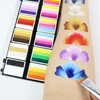 Bowitzki Professional Dream Face Paint And Body Paint for Kids Adults 12x10gm One Stroke Split Cake Rainbow Halloween 5