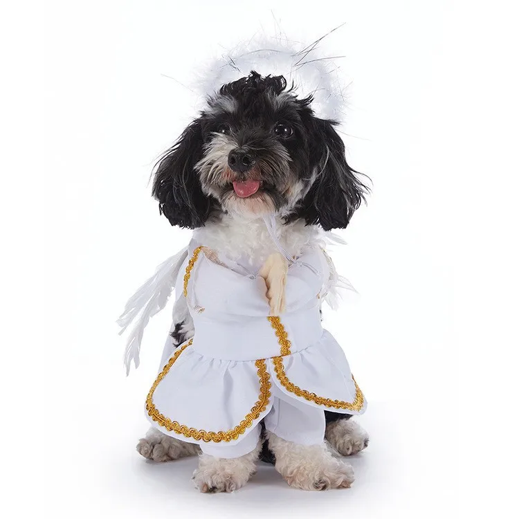 Halloween Pet Costume 5