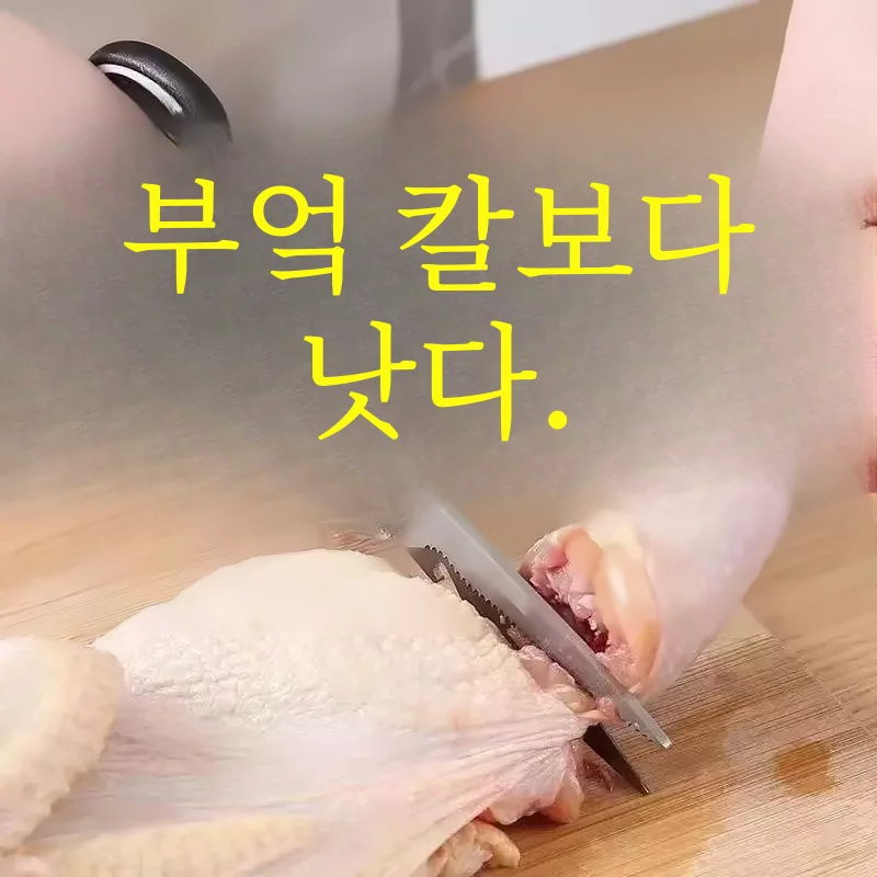 스테인레스 스틸 가위 주방 보호 커버 가정용 닭 뼈 물고기 살해 바베큐 고기 절단 식품 목적 도매