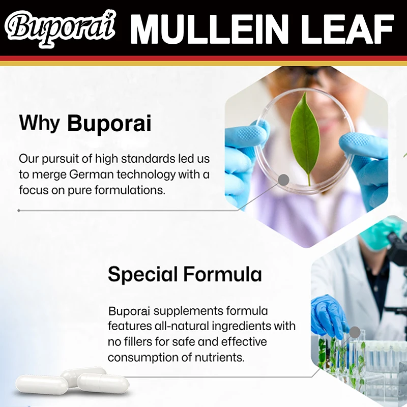 Mullein Leaf-Clean The Lung Protecting The Respiratory System Relieve Phlegm and Cough Immune Support mullein leaf extract