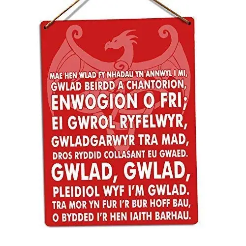 Guadalupe Ross Metal Tin Sign Welsh National Anthem Twine Wall Sign Wall Decor Metal Sign 12x8 Inches tin sign metal sign metal poster metal decor metal painting wall sticker wall sign wall decor decor for home office bar