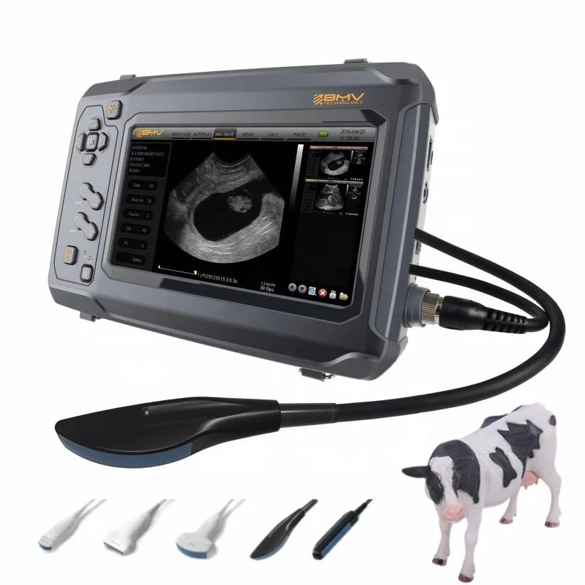 

Самая дешевая ветеринарная ультразвуковая машина/портативный ультразвуковой сканер с сенсорным экраном для животных/ручной ультразвуковой сканер Vet S6