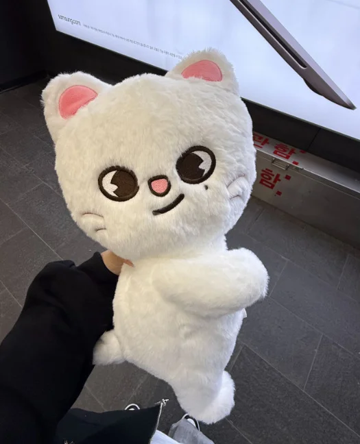 Sb1dc1191823f4813a9b038924baf37e4W - Stray Kids AU Store