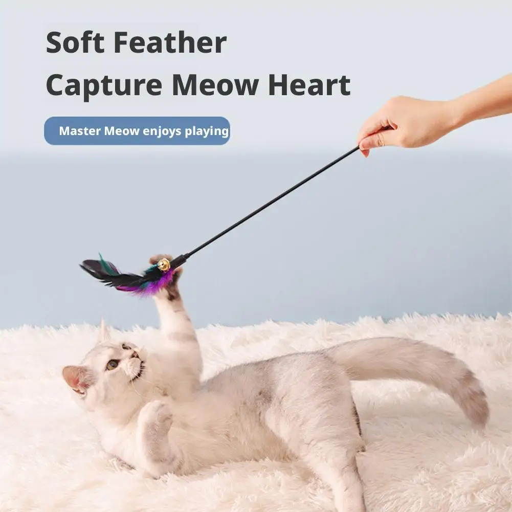 Cats Interactive Feather Toy Sb1dc3f3167f145b4b890ab9fa67add382