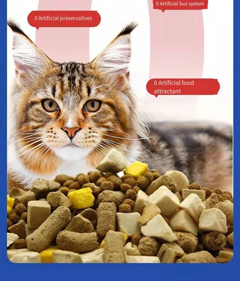 Pet kitten into cat food chicken natural fresh meat frozen dry food