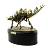 Simulation Dinosaur Toys 3D Dinosaur Model Skeleton Educational Dinosaurio Biology Interesting Toy For Children Gift Dinosaurios 6