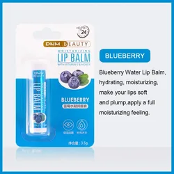 Hydrating Fruit - Infused Lip Gloss Set - 18 Flavors of Moisturizing and Long - Lasting Clear Lip Balm (Blueberry)