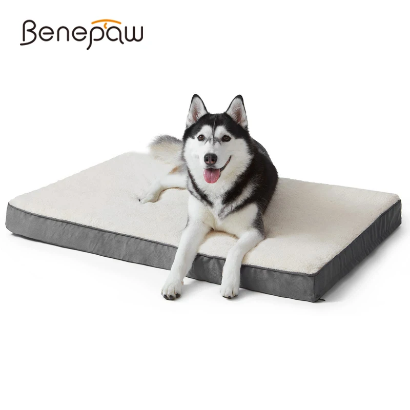 memory foam mattress dog bed