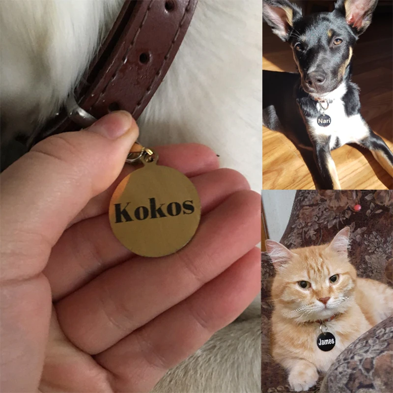 Personalized Pet Cat Dog Name Collar Accessories Circle Custom Engraved ID Tag Necklace Chain Charm Supplies For Dog Product 6