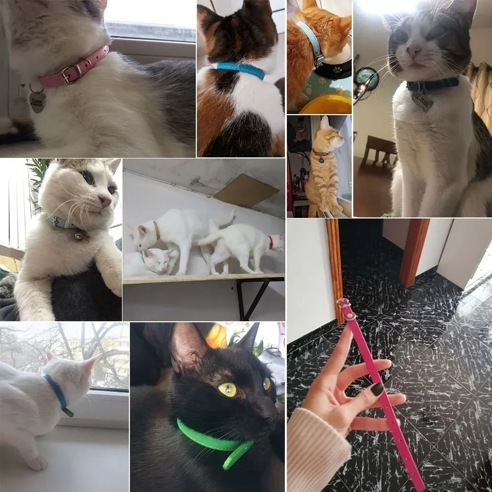 Colorful Leather Puppy Cat Collar Cute Kitten Necklace Name Personalized Collar for Cats Dogs Pet Supplies Accessories Harness 5