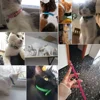 Colorful Leather Puppy Cat Collar Cute Kitten Necklace Name Personalized Collar for Cats Dogs Pet Supplies Accessories Harness 5