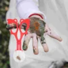 7 Pcs Insect Scissors Planting Kit for Children Bug Catcher Kids Bugs Insects Tongs Inspectary Tweezers Suite Biology 3