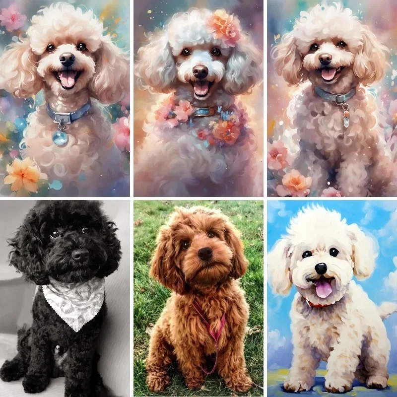 Diamond Painting Diamond Art Painting Kit Diamond Painting Set DIY 5D Diamond Painting Black Poodle Puppy Full Square Diamond Arts White Poodle Dogs Embroidery Craft Brown Poodles Gems Art