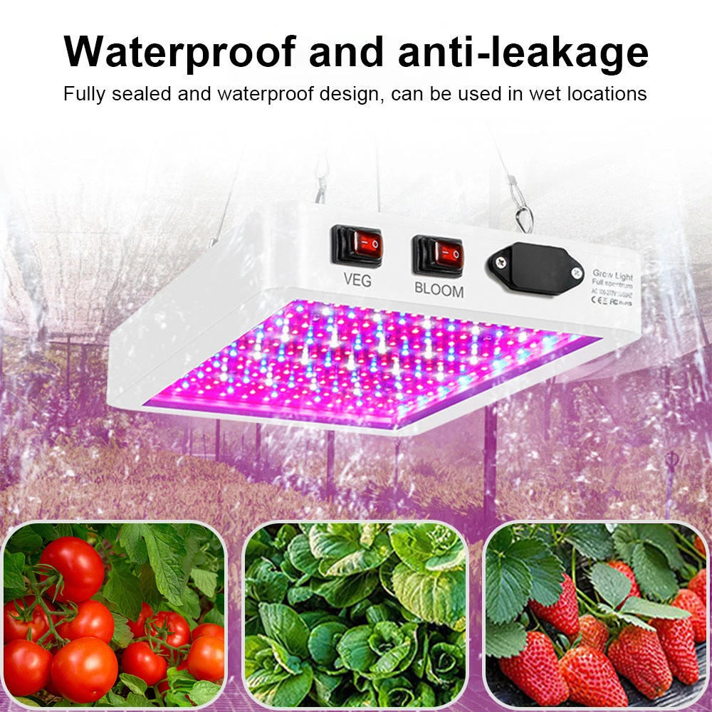 Leclstar Grow Light Store