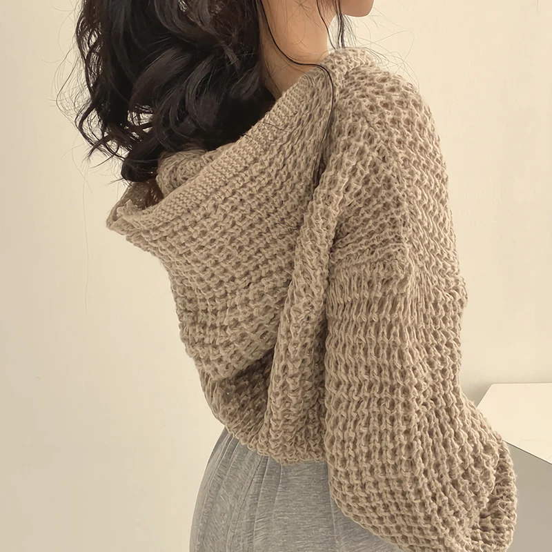 Autumn and winter lazy wind hooded short sweater cardigan zipper jacket women's design thick needle lapel loose knitted sweater