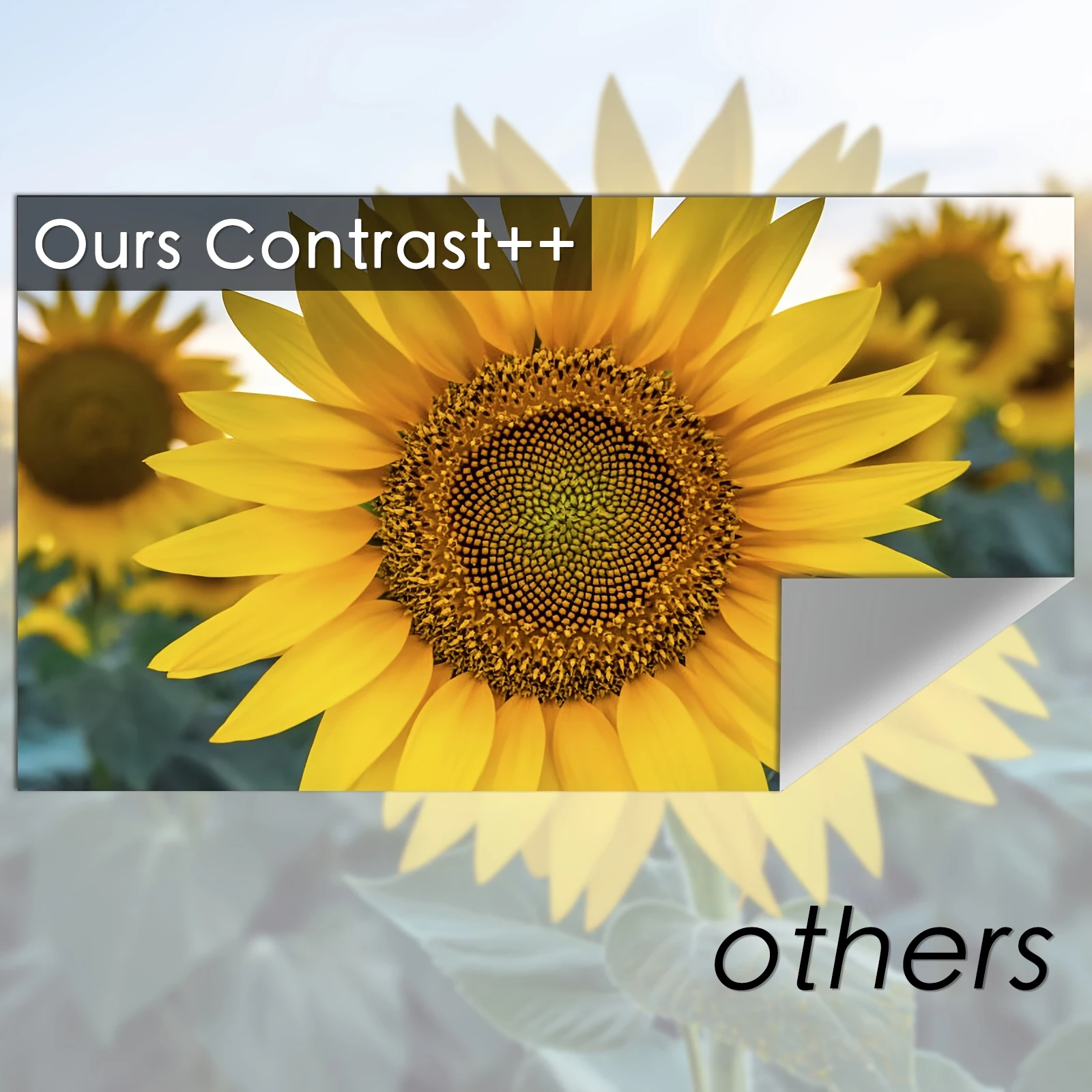 شاشة عرض محمولة 16:9 شاشات عرض قابلة للطي للسينما...