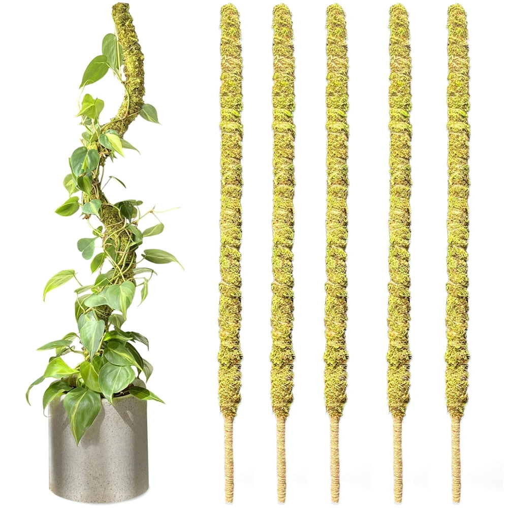 Tall Moss Pole for Plant Monstera Bendable Plant Stakes Real Forest Moss Stick Potted Plants