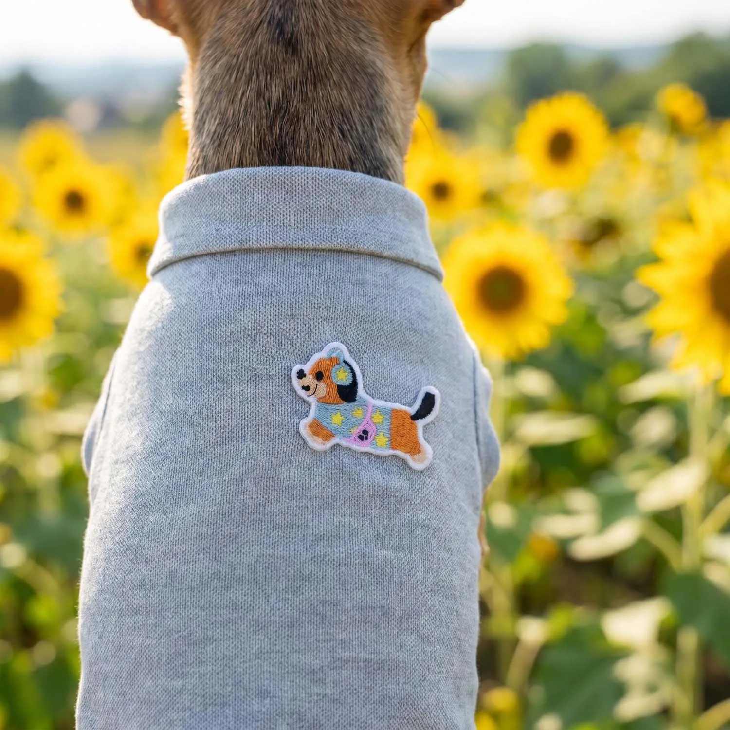 Maglietta Polo per Cani con Ricamo Orso Cartone Animato, Morbida e Traspirante, Senza Maniche, Abbigliamento Casual per Passeggiate all'Aperto per Razze Piccole - immagine 5