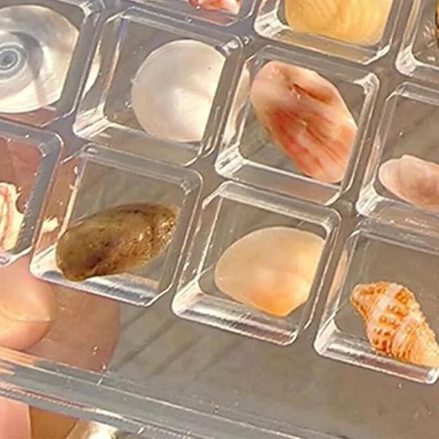 Caja de exhibición de conchas marinas magnéticas acrílicas, caja de almacenamiento de diamantes, caja de almacenamiento de conchas transparentes, almacenamiento de joyas - Imagen 4