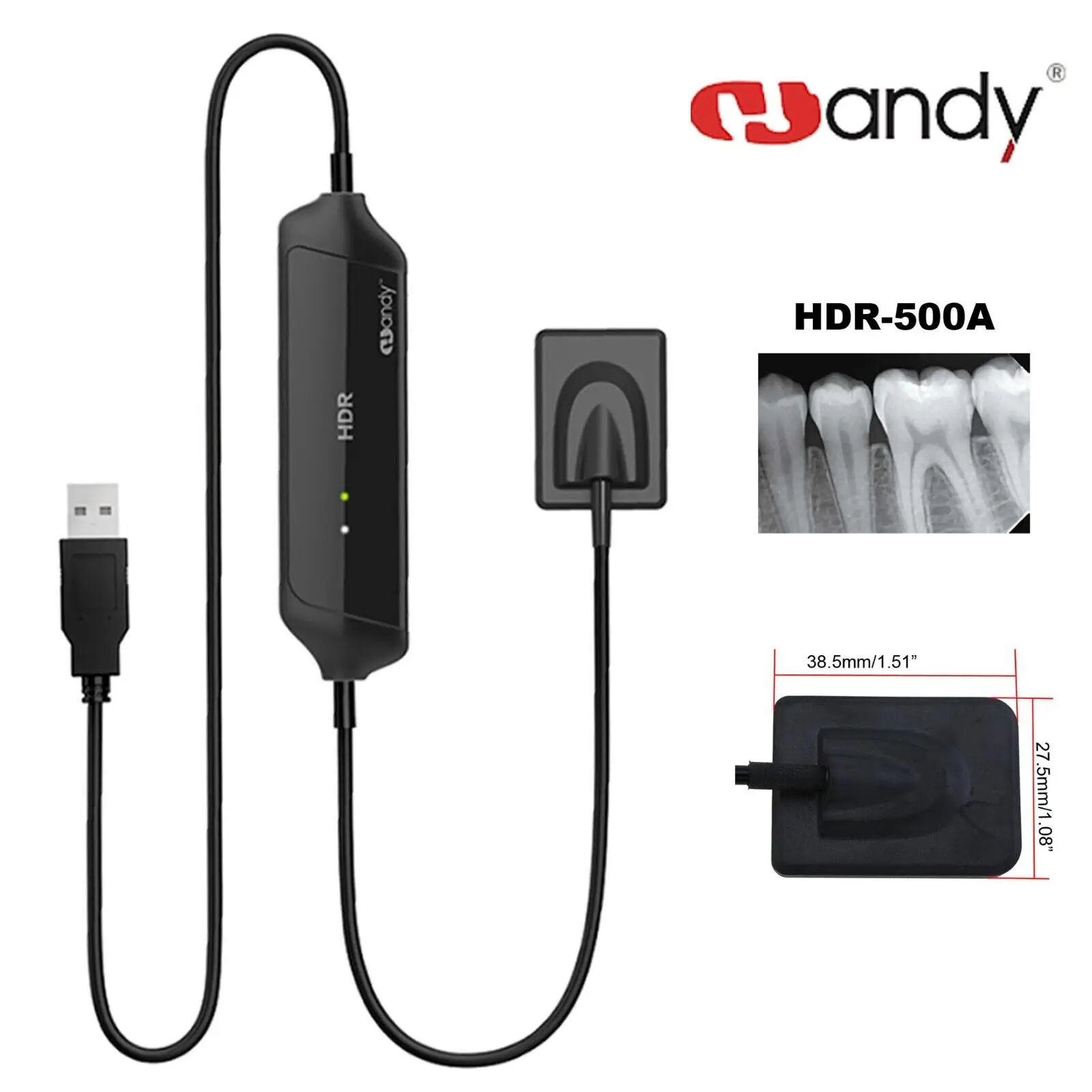 

Dental Intraoral Digital Sensor HDR 500A RVG X-Ray Sensor USB Xray Compatible With Windows System