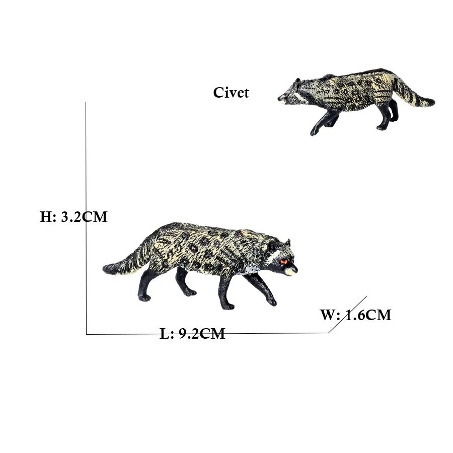 Civet 2637