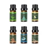 Aromatherapy Gift Set 6 Natural Essential Oils 10ml Diffuser Oils 1