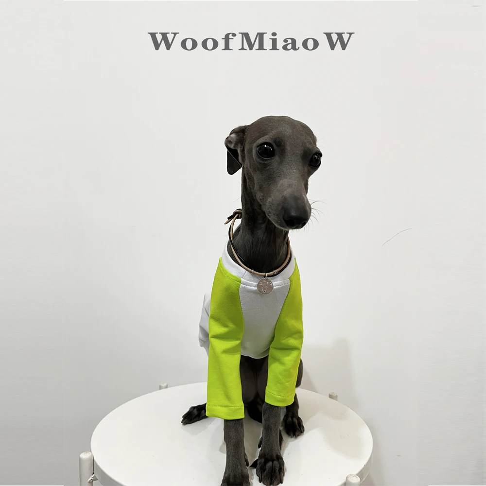 Leuke Hond Kleding Voor Honden Hoodies Grappige Fruit Hond Jas Puppy Pet Kleding Voor Honden Kostuum, wortel, XL 6,8 KG