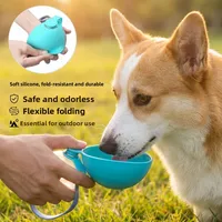 285ML Leak-Proof Feeder Dogs Bottle,Portable Dog Drinker 2-in-1 Stainless Steel Silicon Lightweight Travel Pet Supplies 2