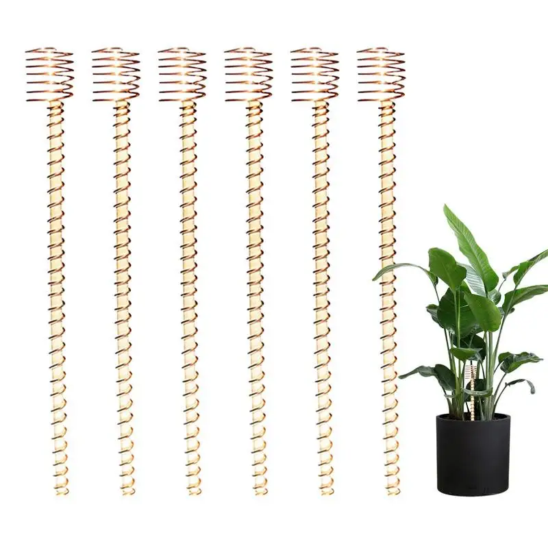 Picchetti Per Piante Da Coltura Elettrolitica Picchetti Da Giardino Per Piante 6 Pezzi Picchetti Di Supporto Per Piante Con Pali Avvolti In Legno Natu