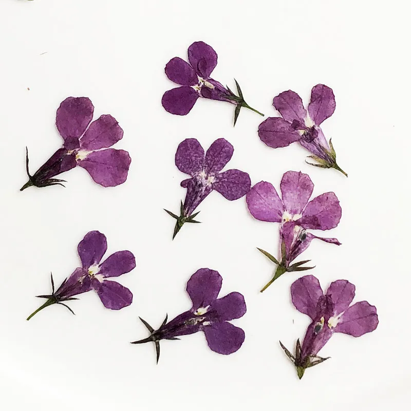 Slide image undefined