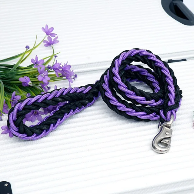 Image 17