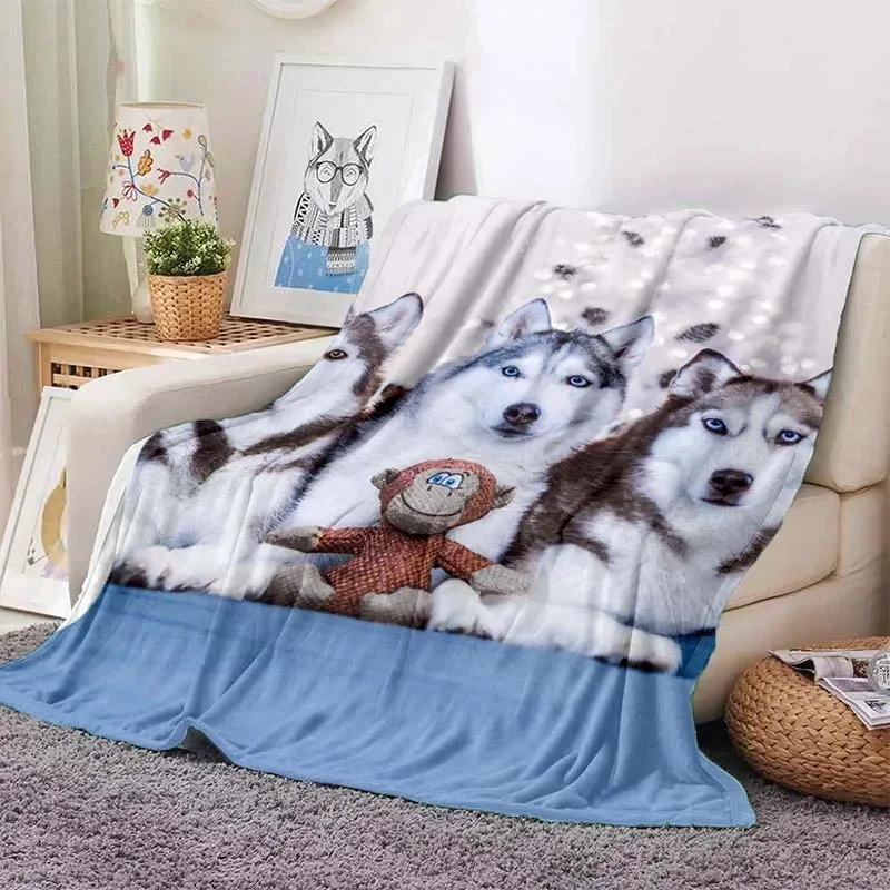 �����ϰ� �ƴ��� �㽺Ű �� ���� �ö��� ���, ����, ħ��, ����, �繫�ǿ�, �ε巴�� �ε巯�� ������ �μ� ���