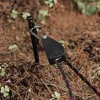 Camping Tent Adjustable Rope Fastener Fixed Buckle Pulley Tensioner Ratchet Hangers Lights Lifting Camping Awning Wind Rope 4