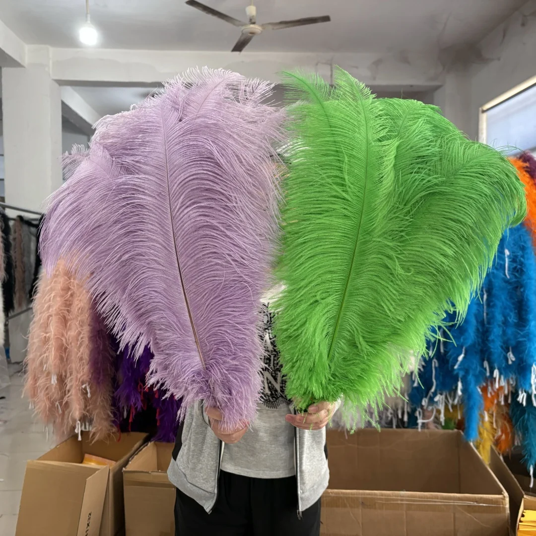Ostrich Feathers Natural Feathers Craft Feathers Natural Ostrich Feathers 15-55cm for Crafts Wedding Party Home Decor Ostrich Plumes Table Centerpiece Feather 10PCS