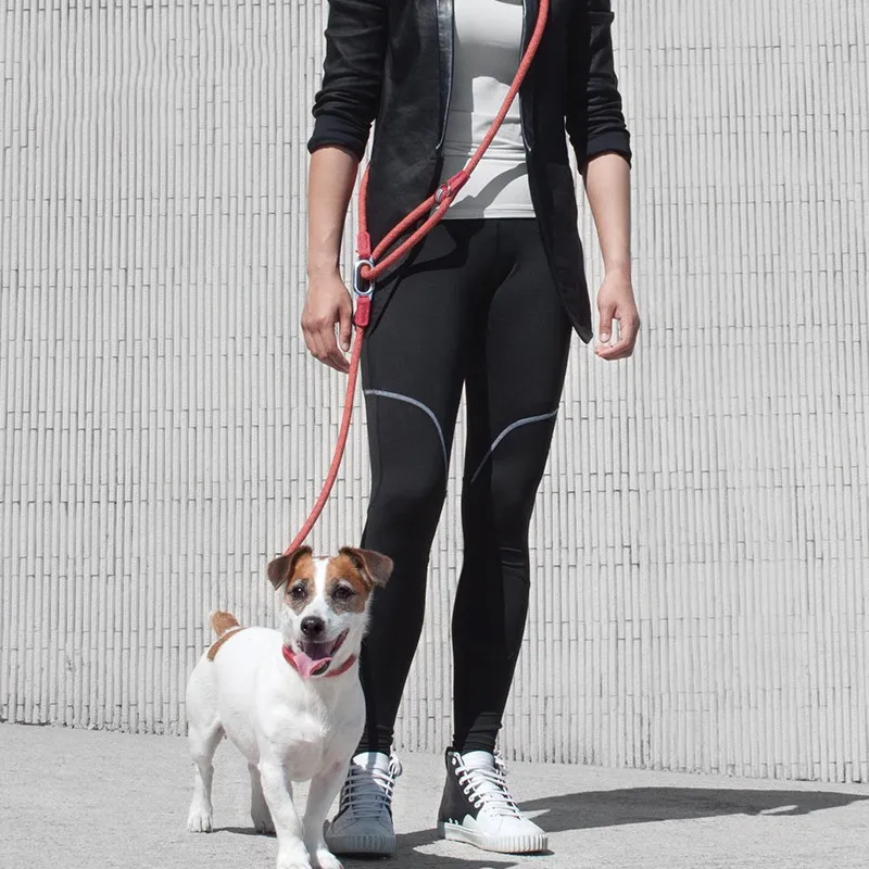 

2023 NEW Reflective Nylon Leashes Pet Dogs Chain Traction Rope Leads for Running Free Hands Rope Chain for Small Large Dog