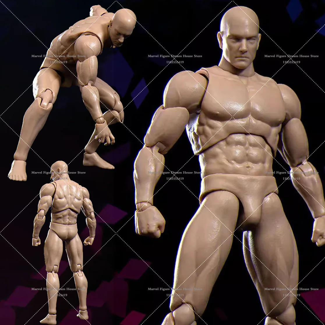 

VTOYS BMS 1/12 Scale Collectible Super Flexible Movable Strong Muscle Comics ZERO Joint Action Figure Head Body for Fans