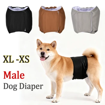 Reusable Male Dog Diaper 1