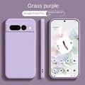 Grass purple