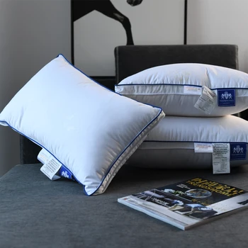Cuscino in piuma di piume d'oca al 100% Cuscino in piuma per uso domestico Tre strati verso il basso + piuma + dimensioni del cuscino in piuma può essere personalizzato 1