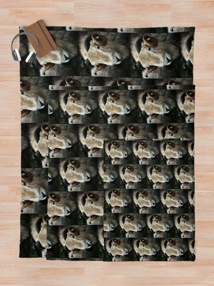 ����� ���ο� ���, ũ�������� ����, ���� ħ�� ����, ���� ���